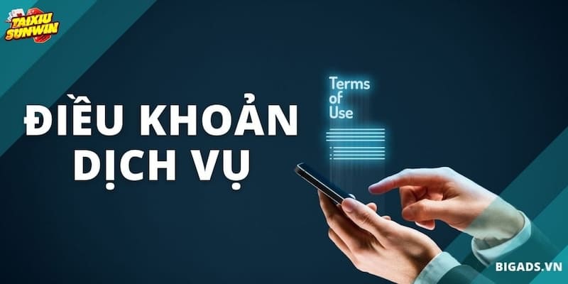 Điều Khoản Dịch Vụ 